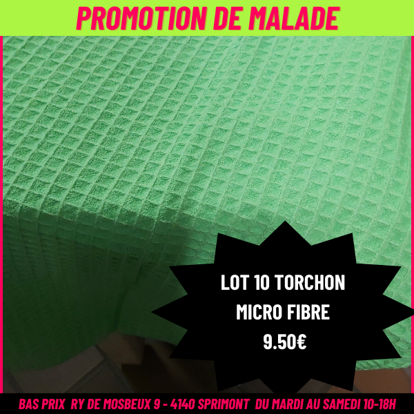 LOT 10 TORCHON MICRO FIBRE 